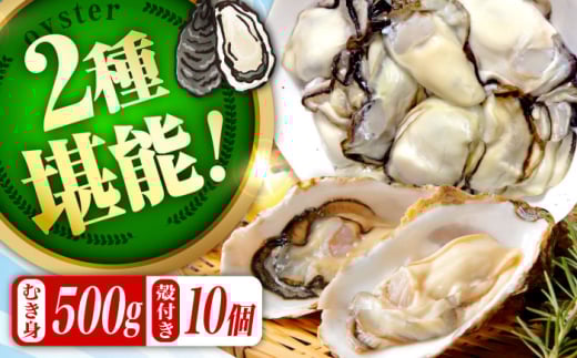 y214iyjzỉyYnI yyzyw\zwĂ܂邩xy ނg500gEkt10Zbg Mp  CN CY ȒP LY ]cs/L