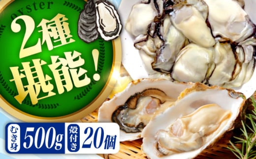 【2月26日(木)着】高品質の牡蠣を産地直送! 【生牡蠣】【着日指定可能】『てつまるかき』牡蠣 むき身500g・殻付き20個セット 加熱用 かき 海鮮 海産物 簡単 広島県産 江田島市/有限会社