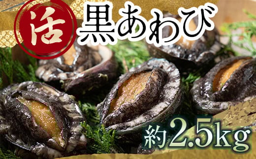 中泊直送 天然 ”活” 黒あわび 約2.5kg 【卓立水産】貝 海鮮 津軽海峡 活鮑 活あわび 活アワビ 黒鮑 黒アワビ アワビ 鮑 天然 産地直送 海産 魚貝 魚介 中泊町 青森 F6N-032青森県中泊町100000魚