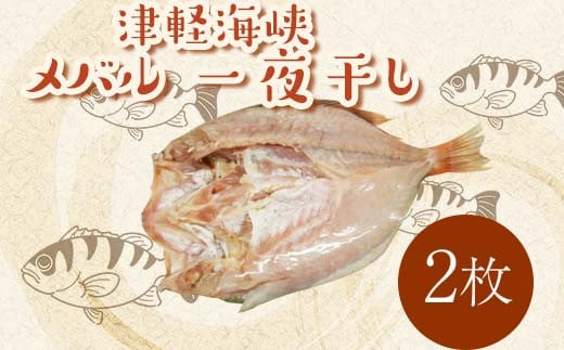 小泊港水揚げ 津軽海峡 メバル 一夜干し 2枚 【卓立水産】魚 海鮮 ウスメバル メバル めばる 津軽海峡 高級 海産物 干物 中泊町 青森 F6N-017青森県中泊町12000魚介・海産物干物