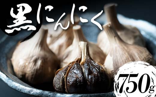 【青森県産】 熟成黒にんにく 750g (250g×3) ≪修清≫ 青森にんにく にんにく ニンニク ガーリック 黒ニンニク 日本一 産地 小分け 青森 中泊町 F6N-074青森県中泊町16000野菜・きのこその他 野菜
