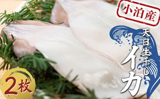 小泊産 天日生干しイカ 2枚 【徐福の里物産品直売所】 イカ 烏賊 するめ スルメ スルメイカ おつまみ 海鮮 魚介類 魚介 海産物 BBQ チルド 冷凍 中泊町 青森 F6N-134青森県中泊町9000魚介・海産