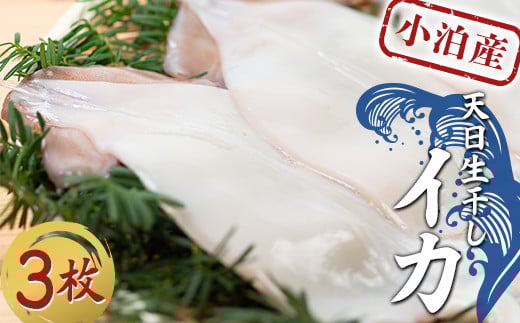 Y VCJ 3 y̗Yiz CJ G  X XCJ ܂ CN   CY BBQ `h Ⓚ  X F6N-135X11000ECY
