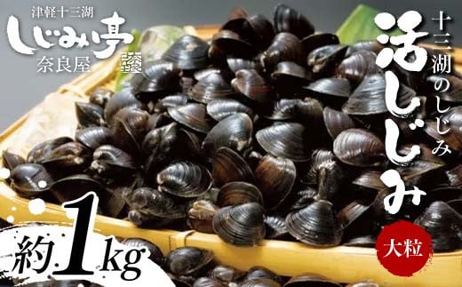 十三湖のしじみ 活しじみ 大粒 約1kg 【奈良屋】 蜆 シジミ 魚貝類 貝 オルニチン 十三 F6N-161青森県中泊町16000魚介・海産物貝類