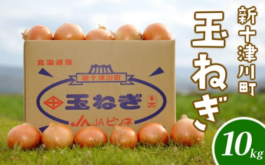 先行受付 北海道 玉ねぎ Lサイズ 10kg | オンライン 申請 ふるさと納税 北海道 新十津川 北海道産 たまねぎ タマネギ 玉葱 L 大容量 箱 新鮮 甘い 高品質 野菜 やさい サラダ 新十津川町【1200