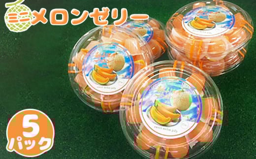 先行受付 ミニメロンゼリー 5パック(各18個入) | オンライン 申請 ふるさと納税 北海道 新十津川 北海道産 メロンゼリー ゼリー メロン 赤肉メロン 赤肉 ひとくちゼリー 子供 こども スイ