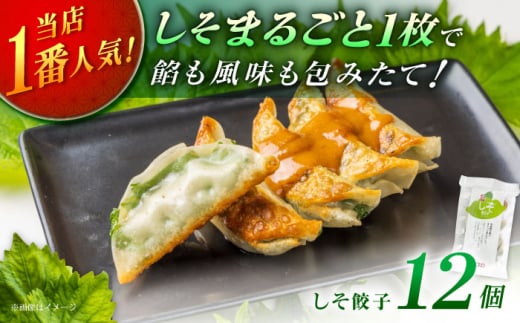 【1パック】餃子屋ヒロの 人気のしそ餃子【餃子屋ヒロ】国産 肉 餃子 ぎょうざ ギョーザ ギョウザ 小分け 人気 餃子 おすすめ 餃子 冷凍 おかず おつまみ 名店 ご当地グルメ 神奈川県 開成