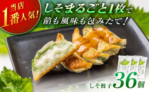 【3パック】餃子屋ヒロの 人気のしそ餃子【餃子屋ヒロ】国産 肉 餃子 ぎょうざ ギョーザ ギョウザ 小分け 人気 餃子 おすすめ 餃子 冷凍 おかず おつまみ 名店 ご当地グルメ 神奈川県 開成