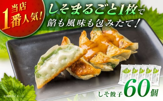 yNzy5pbNzLqq lĈLq yLqqzY  Lq 傤 M[U MEU  lC Lq  Lq Ⓚ  ܂ X nO