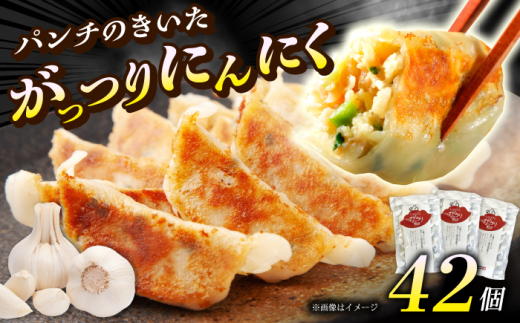(3パック)開成町の 餃子 がっつりにんにく 餃子 42個(14個入×3パック)【餃子屋ヒロ】餃子 ぎょうざ ギョウザ ギョーザ 豚肉 豚 ミンチ 餃子 神奈川 冷凍 餃子 ぎょうざ ギョウザ ギョーザ