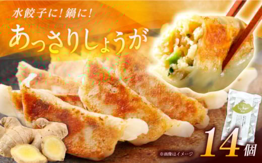 【1パック】餃子屋ヒロの しょうが餃子 14個 水餃子 ヤキギョウザ 餃子 ギョーザ 餃子 ギョーザ 中華 餃子 ギョーザ 餃子 やきぎょうざ ギョーザ 中華 中華料理 ぎょうざ ぎょーざ ギョウザ