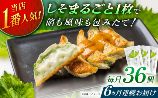 yS6ցzy3pbNzLqq lĈLqyLqqzJ Lq _S y Ⓚ [BDAS011]_ސ쌧J71000ZbgE؁EHHi