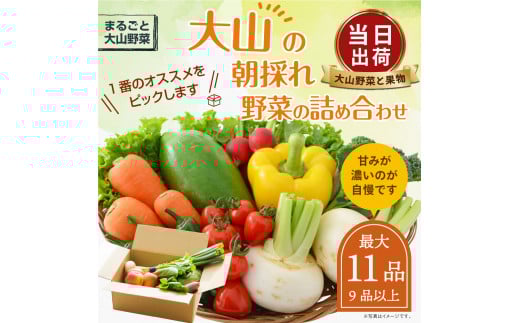 MS-02 新鮮朝採れ野菜セット鳥取県大山町12000野菜・きのこその他 野菜