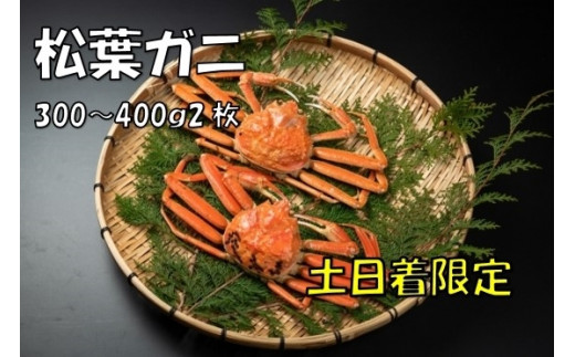 OM-16-1@{CtKji300`400g2jyyzy11{ȍ~z挧R22000ECYJj