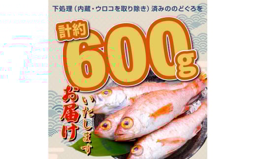 OM-05 白身のトロ「のどぐろ」4匹(冷凍)鳥取県大山町27000魚介・海産物鮮魚