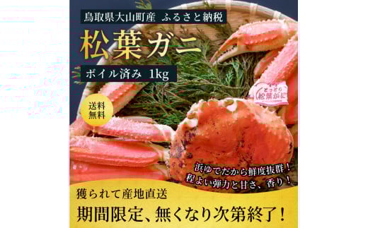 OM-25 ブランドタグ付ボイル松葉ガニ(特大約1kg)【11月下旬以降発送】鳥取県大山町84000魚介・海産物カニ