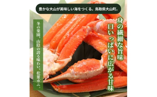 OM-14-2@[Ⓚ]󂠂菼tKj3kglߍ킹y1{ȍ~z挧R47000ECYJj