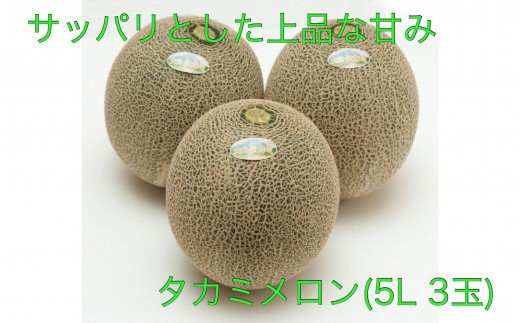 AS-01 貴味(タカミ)メロン 3玉鳥取県大山町15000果物・フルーツメロン・スイカ