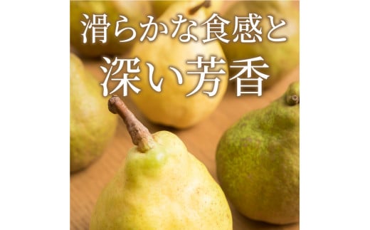 YN-09 鳥取県産洋ナシ ル・レクチェ梨 4kg鳥取県大山町16000果物・フルーツりんご・梨