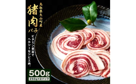 GB-05 猪肉 バラ 500g(250g×2パック)鳥取県大山町11000肉ジビエ