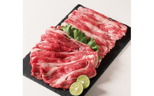 AS-05 鳥取牛スライスセット(700g)鳥取県大山町16000肉牛肉