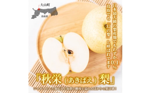 DS-13@Hhi΂ȂjiTj挧R13000ʕEt[c񂲁E