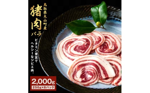 GB-08 猪肉 バラ 2kg(250g×8パック)鳥取県大山町27000肉ジビエ