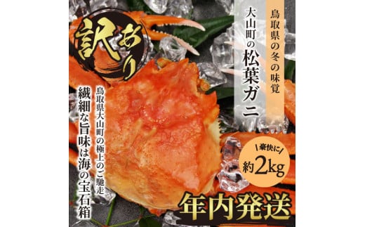 OM-13-1@[Ⓚ]󂠂菼tKj2kglߍ킹y11{ȍ~zyNz挧R40000ECYJj