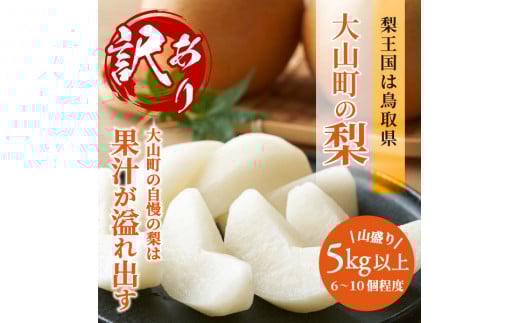 DS-22 訳あり大山町産梨 5kg【品種はおまかせ】鳥取県大山町13000果物・フルーツりんご・梨