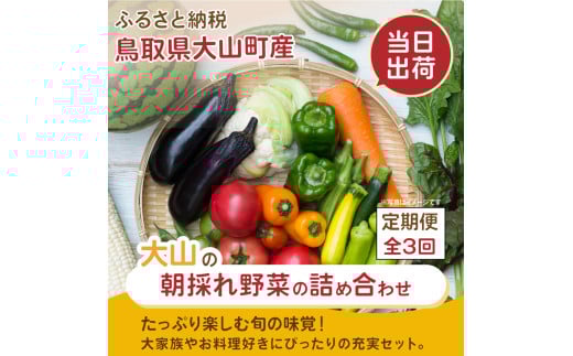MS-04 新鮮朝採れ野菜セット 頒布会 定期便(計3回)鳥取県大山町36000野菜・きのこその他 野菜