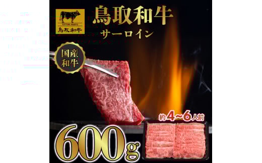 DN0390 a T[C ԂԁEĂ 600gi300g×2Pj挧R26000