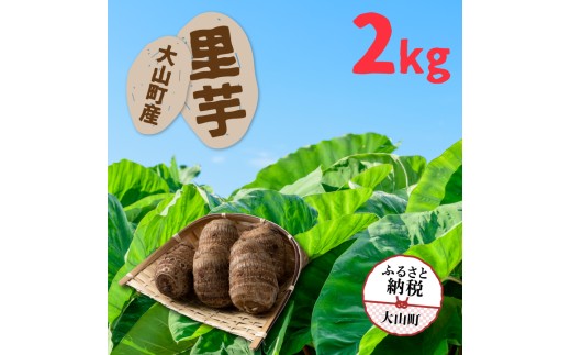TY-01  大山町産里芋2kg鳥取県大山町7000野菜・きのこ大根・ニンジン・根菜類