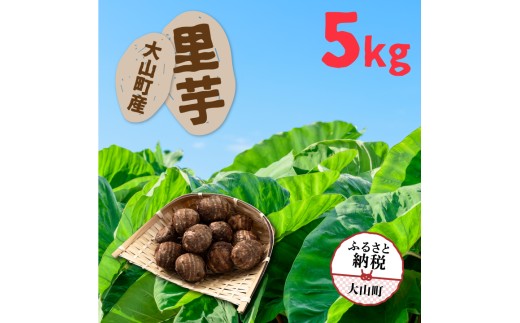 TY-02  大山町産里芋5kg鳥取県大山町12000野菜・きのこ大根・ニンジン・根菜類