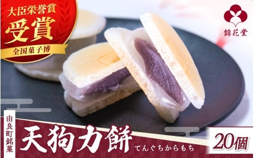 老舗の味 天狗力餅20個入 和菓子 力もち こし餡 職人の手作り / 銘菓 和菓子 こしあん 由良町 お取り寄せ お土産 ギフト 和歌山県【knkd001】和歌山県由良町14000菓子・スイーツその他 和