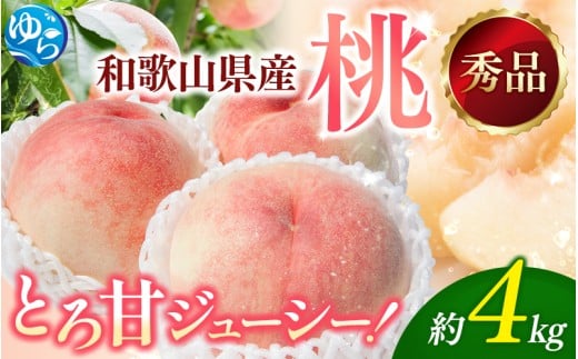 【2026年産】和歌山の桃 約4kg・秀選品★2026年6月下旬〜8月上旬頃順次発送★【TM168】【tec911B】和歌山県由良町27000果物・フルーツもも・すもも