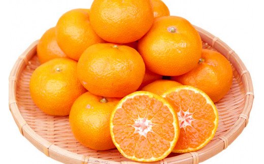 赤秀品 紀州有田産濃厚完熟温州みかん 3kg(MサイズまたはSサイズ)【2025年11月下旬以降発送】【先行予約】【UT12】【uot713】和歌山県由良町12000果物・フルーツみかん・柑橘類