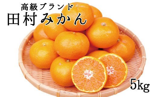 高級ブランド田村みかん 5kg【2025年11月下旬以降発送】【先行予約】【UT14】【uot504A】和歌山県由良町16000果物・フルーツみかん・柑橘類