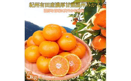 紀州有田産濃厚甘熟温州みかん5kg【2025年11月下旬以降発送】【先行予約】【UT09】【uot006】和歌山県由良町13000果物・フルーツみかん・柑橘類