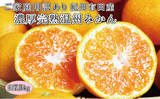 【ご家庭用訳アリ】紀州有田産温州みかん7.5kg【2025年11月下旬以降発送】【先行予約】【UT10】【uot704A】和歌山県由良町15000果物・フルーツみかん・柑橘類