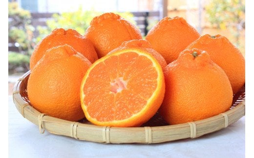 紀州有田産不知火(しらぬひ) 約5kg【2026年2月中旬以降発送】【先行予約】【UT40】【uot709A】和歌山県由良町15000果物・フルーツみかん・柑橘類