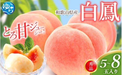 白鳳 桃 5〜8玉入り 秀品 【2026年6月下旬以降発送】桃 モモ フルーツ 果物 くだもの 人気 産地直送 厳選 甘い 予約 もも フルーツ王国【mtgn053B】和歌山県由良町14000果物・フルーツもも・すも