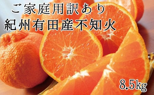 【ご家庭用訳有り】紀州有田産不知火(しらぬひ) 約8.5kg【2026年2月中旬以降発送】【先行予約】【UT41】【uot507A】和歌山県由良町19000果物・フルーツみかん・柑橘類