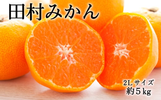 【ブランドみかん】田村みかん約5kg(2Lサイズ・秀品)★2025年11月下旬〜2025年12月下旬頃発送【TM106】【tec882A】和歌山県由良町15000果物・フルーツみかん・柑橘類