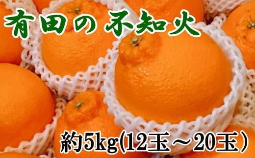 【濃厚】有田の不知火約5kg(12〜20玉)★2026年2月中旬〜2026年4月中旬頃より順次発送【TM34】【tec861A】和歌山県由良町15000果物・フルーツみかん・柑橘類