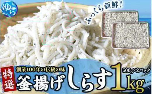 特選 釜揚げしらす(500gパック入り×2つ)シラス しらす丼 国産 冷蔵 個包装 魚 お魚 さかな 食品 和歌山県 由良町 16000円 スピード配送 プレミア和歌山 プレミア 釜揚げ 【uoms001】和歌山県