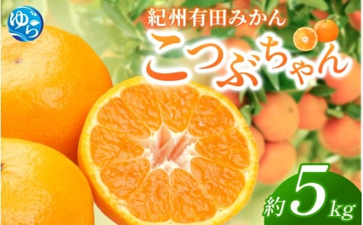 紀州 有田みかん 「こつぶちゃん」 約5kg / みかん 温州みかん 小粒 小玉 こだま 甘い 和歌山 由良 フルーツ 柑橘  ※2025年11月下旬〜2026年1月中旬頃発送予定【sml117A】和歌山県由良町13000果物