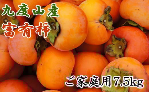 ≪柿の名産地≫九度山の富有柿約7.5kgご家庭用★2025年11月上旬頃より順次発送【TM1】【tec413A】和歌山県由良町17000果物・フルーツその他 果物・フルーツ