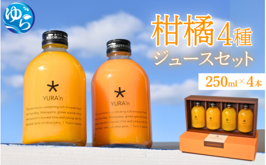 k4@W[XZbg 250ml×4{ MtgΉ / a̎R k ݂  t[c ʕ  Hi lC Rǒ ӊ   Yn RǒY hNykzmn015za̎RR