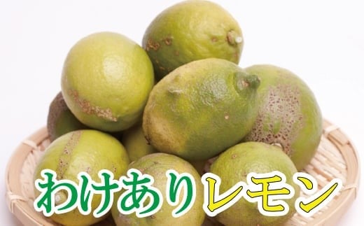 <先行予約>家庭用 黒潮レモン 5kg+250g(傷み補償分)【和歌山有田産】【防腐剤・WAX不使用、安心の国産レモン】【わけあり・訳ありレモン】/ くだもの 果物 フルーツ 柑橘 レモン レモン