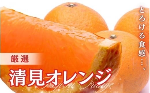 <2月より発送>厳選 清見オレンジ 5kg+250g(傷み補償分)【光センサー食頃出荷】【樹上完熟きよみオレンジ・清見タンゴール・清美】 / 和歌山 おすすめ 果物 くだもの 柑橘 みかん オレン